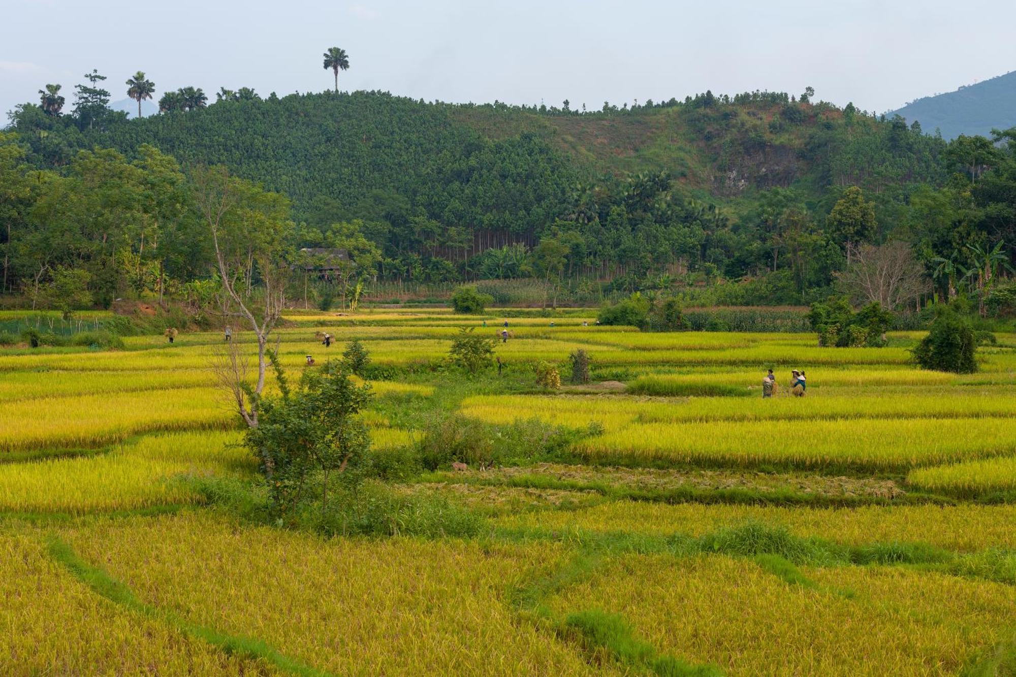 Cinnamon Eco Lodge Nam Hoac Exterior photo